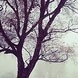 pics02