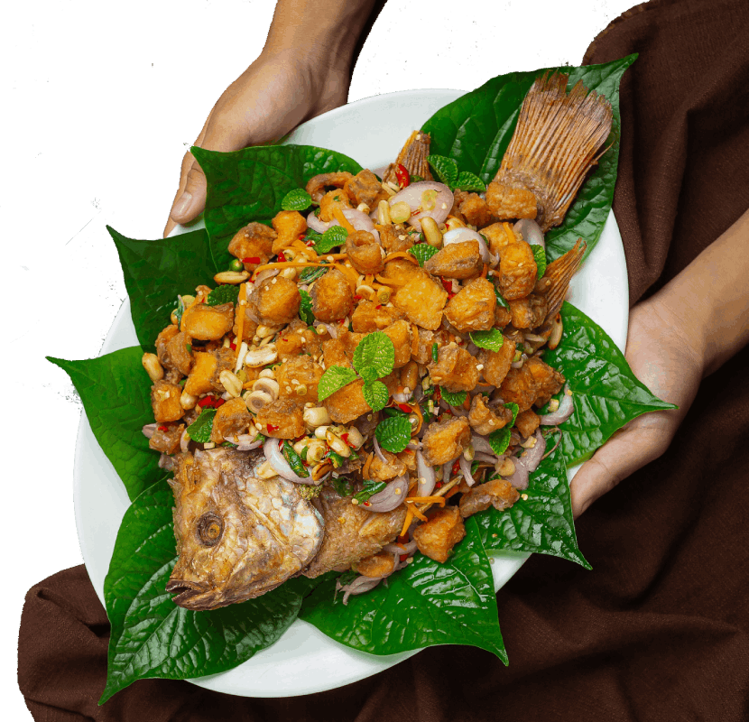 fish1_dish