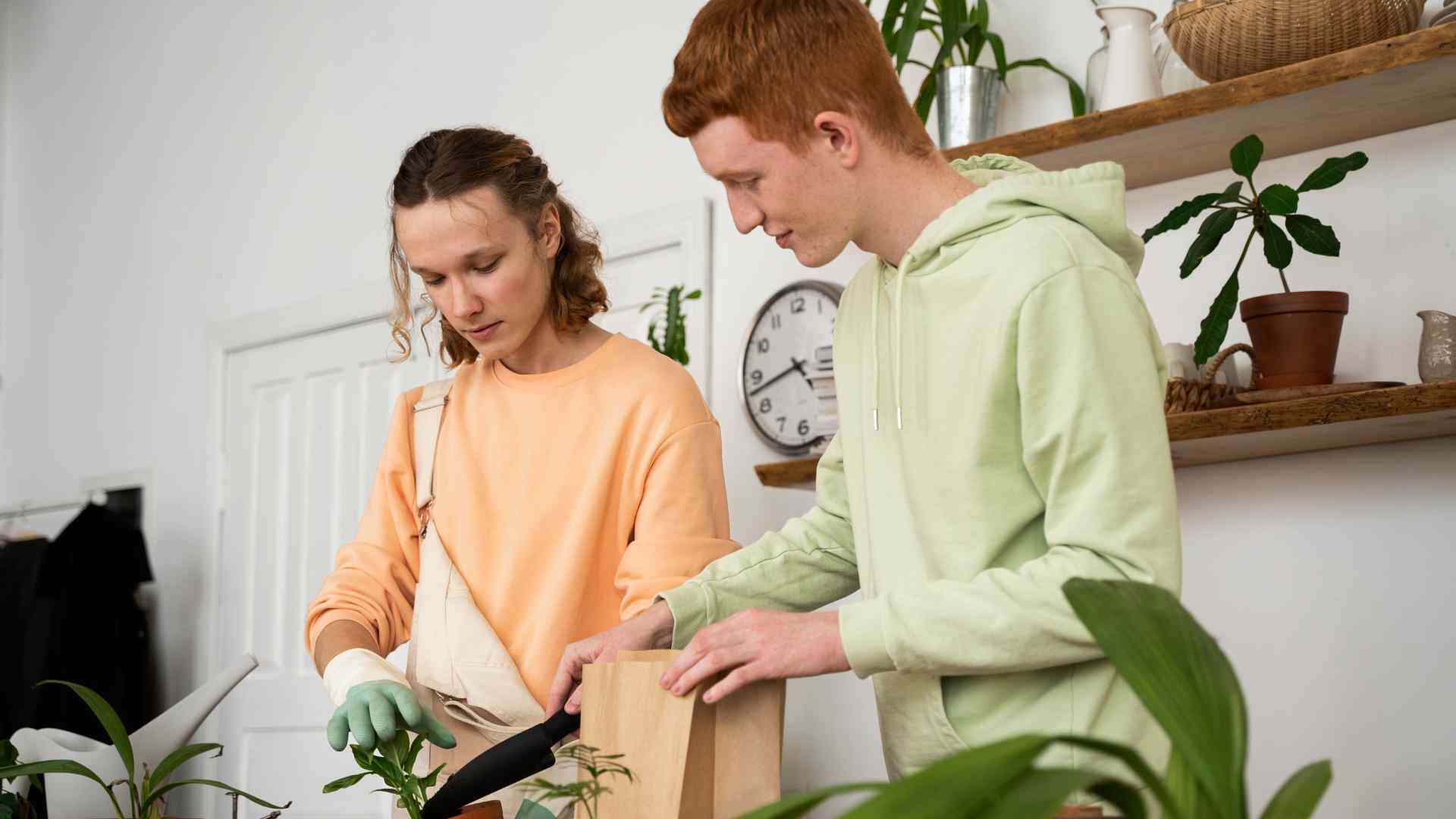 people-transplanting-plants